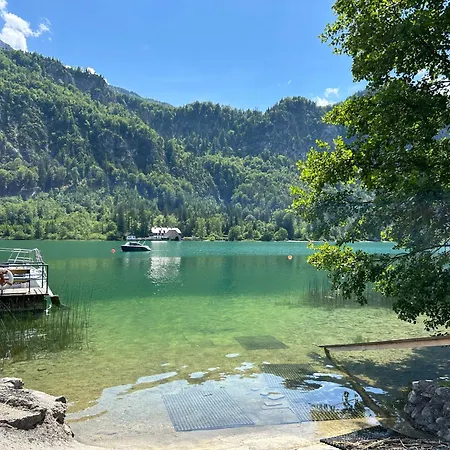 Seestern With Access * Ort (Vocklabruck)