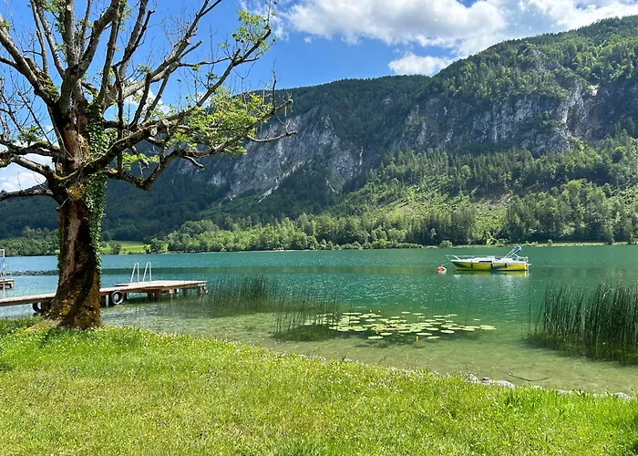 Seestern Ort (Vocklabruck)