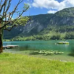 Seestern With Access Ort (Vocklabruck)
